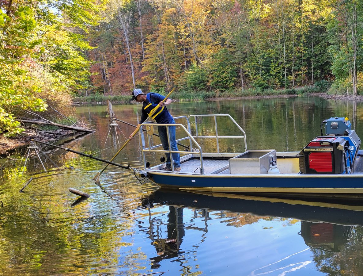 Boat Electrofishing