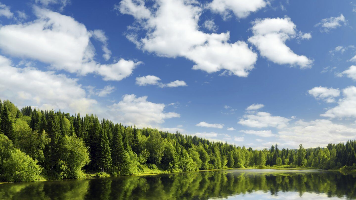 lake-and-pond-management-jones-shop-lake-supplies_1