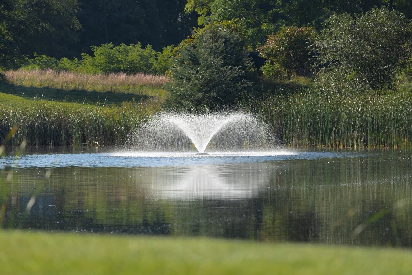 Pond with shoreline grasses and fountain 
