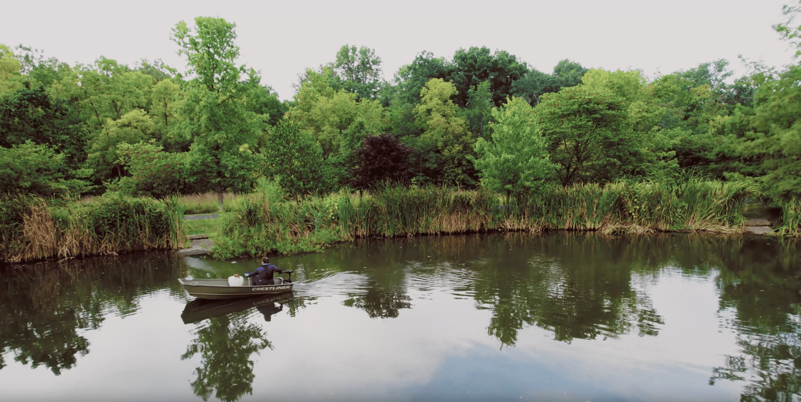 pond with biologist
