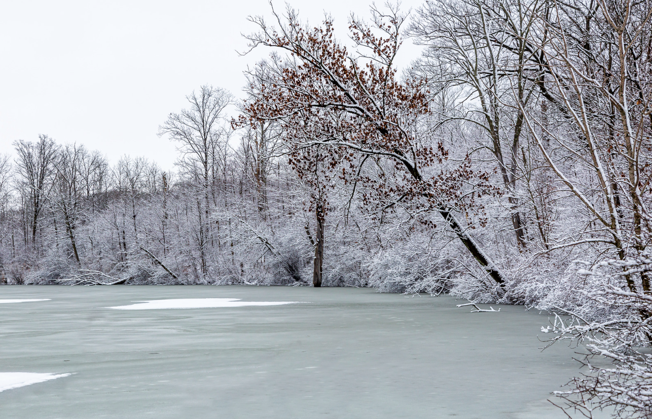 Frozen pond