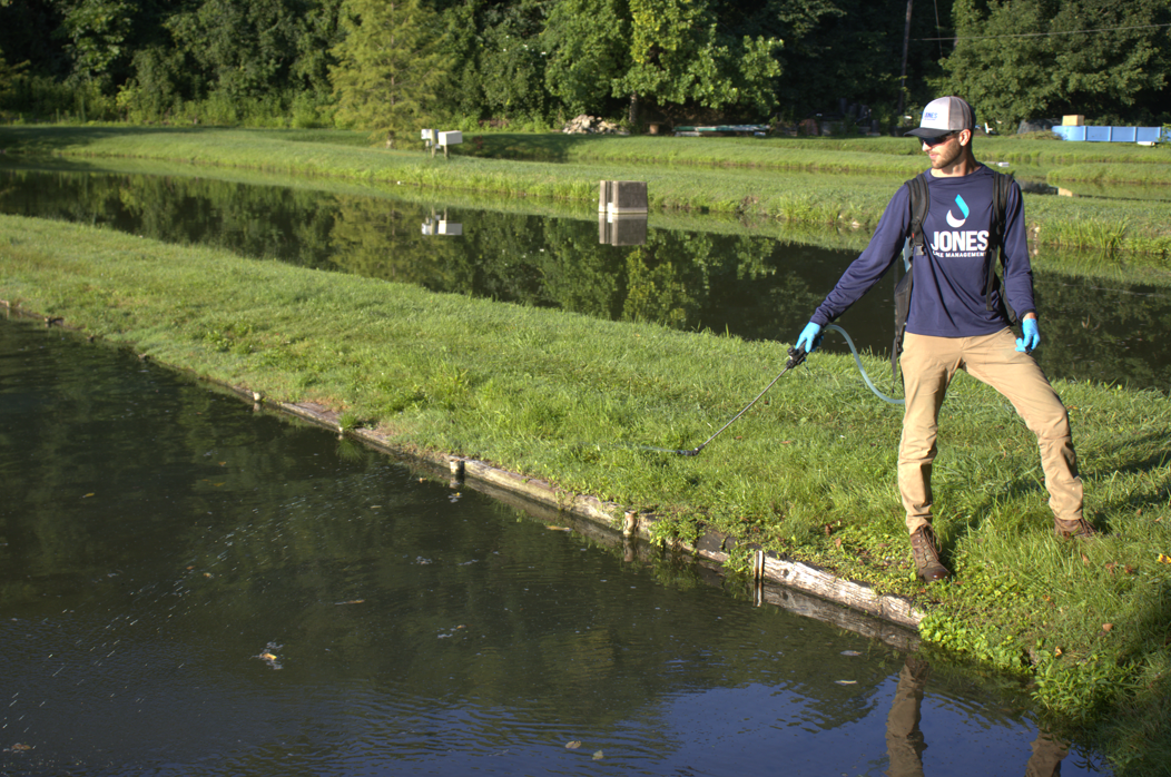 man spaying algae in pond