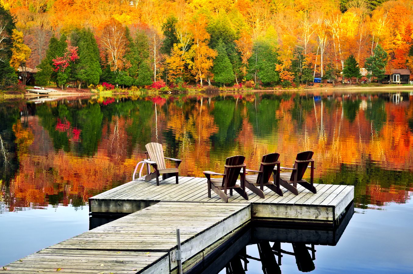 Wooden Dock_Fall