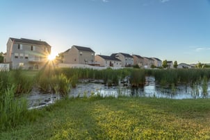 cattails taking over retention pond and affecting its function