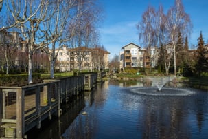 HOA pond