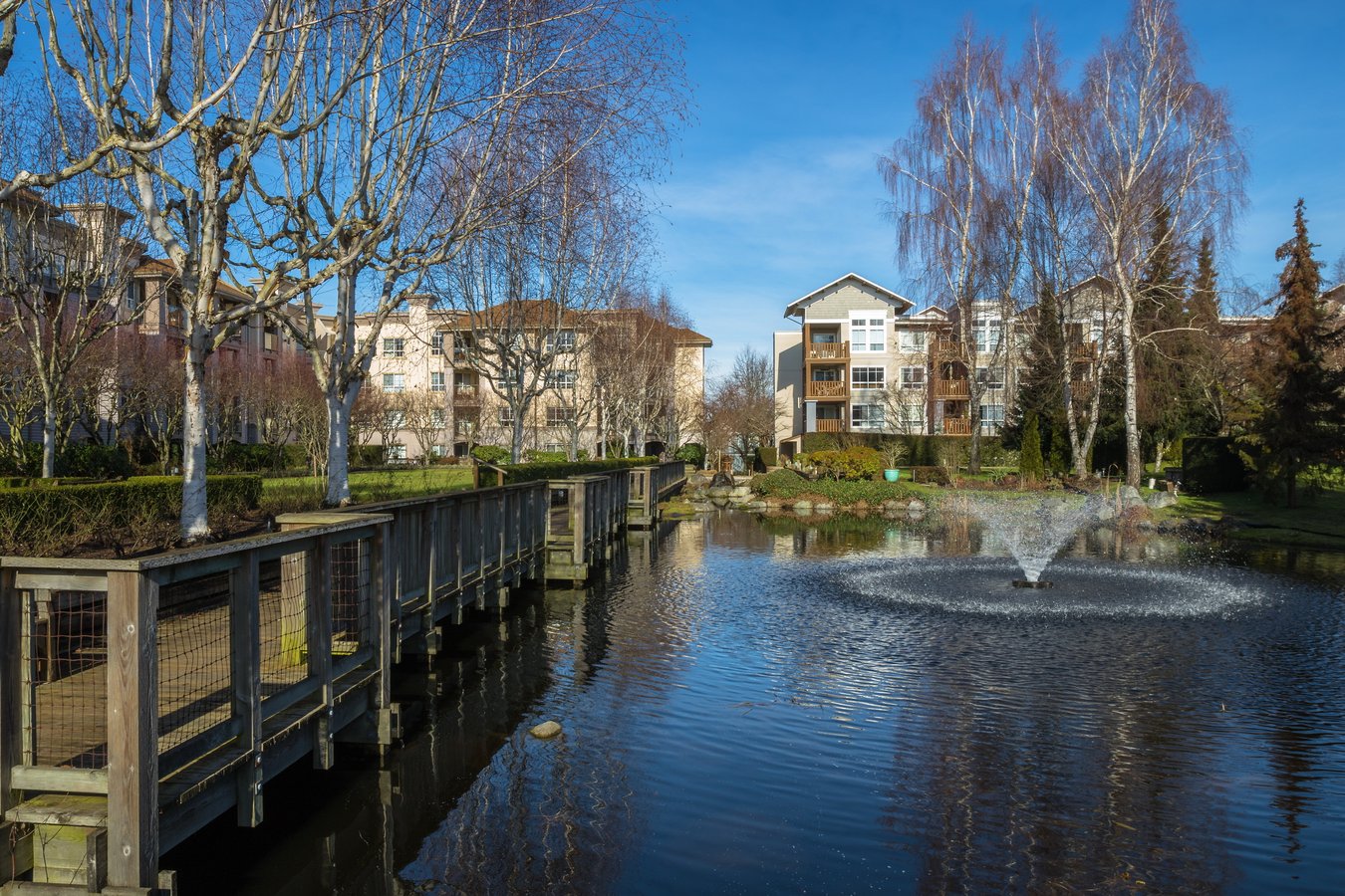 HOA pond