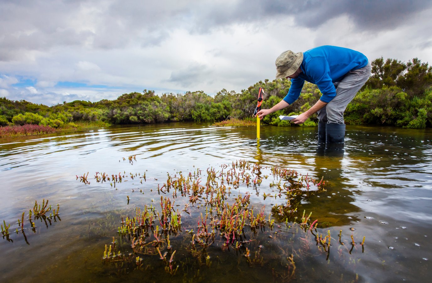 Sediment Surveys