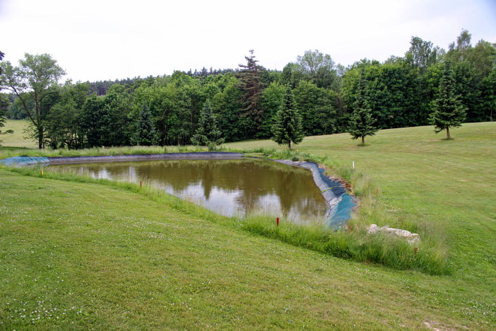 water table