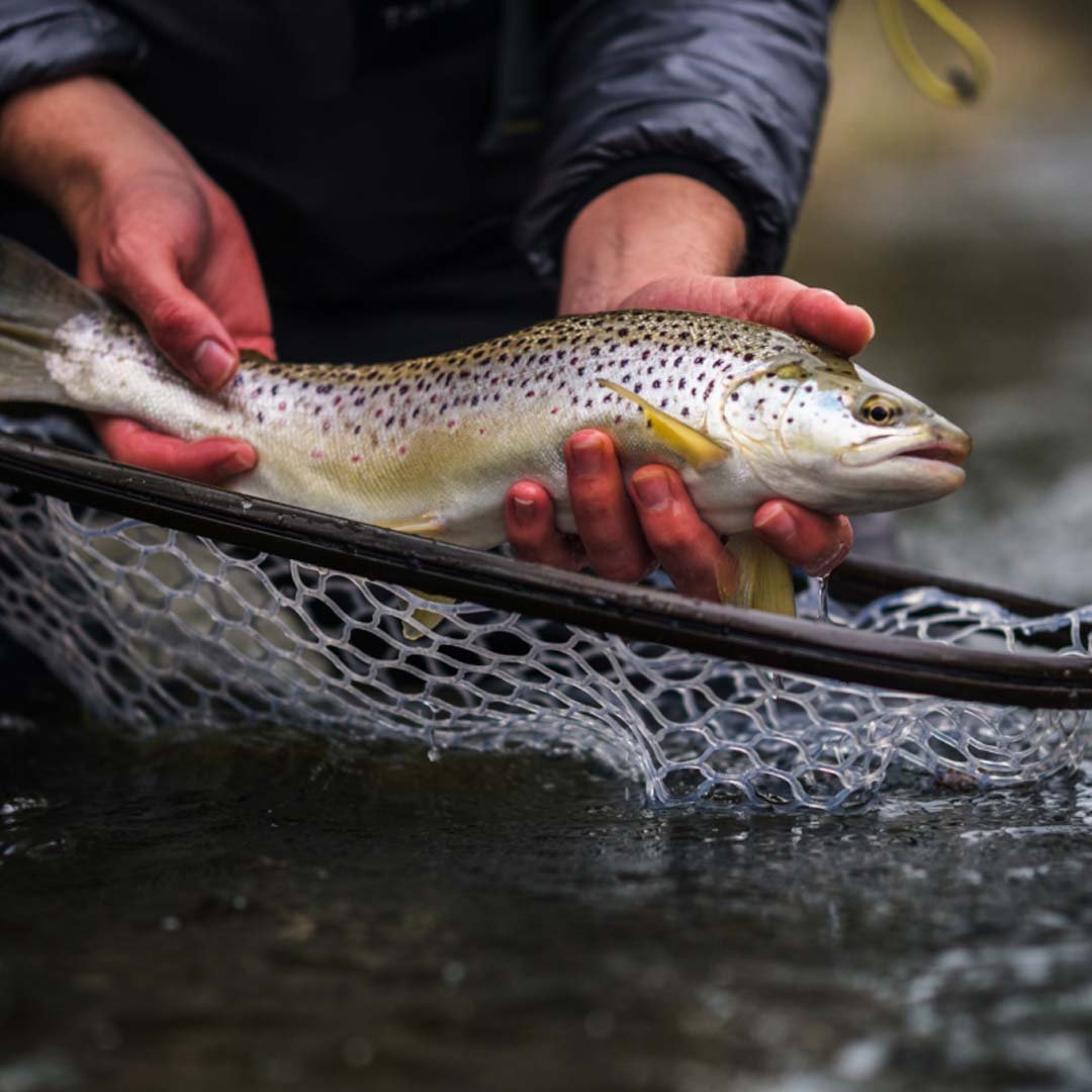 1-1-ratio-image-placeholder-1