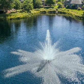 1-1-ratio-image-placeholder-2