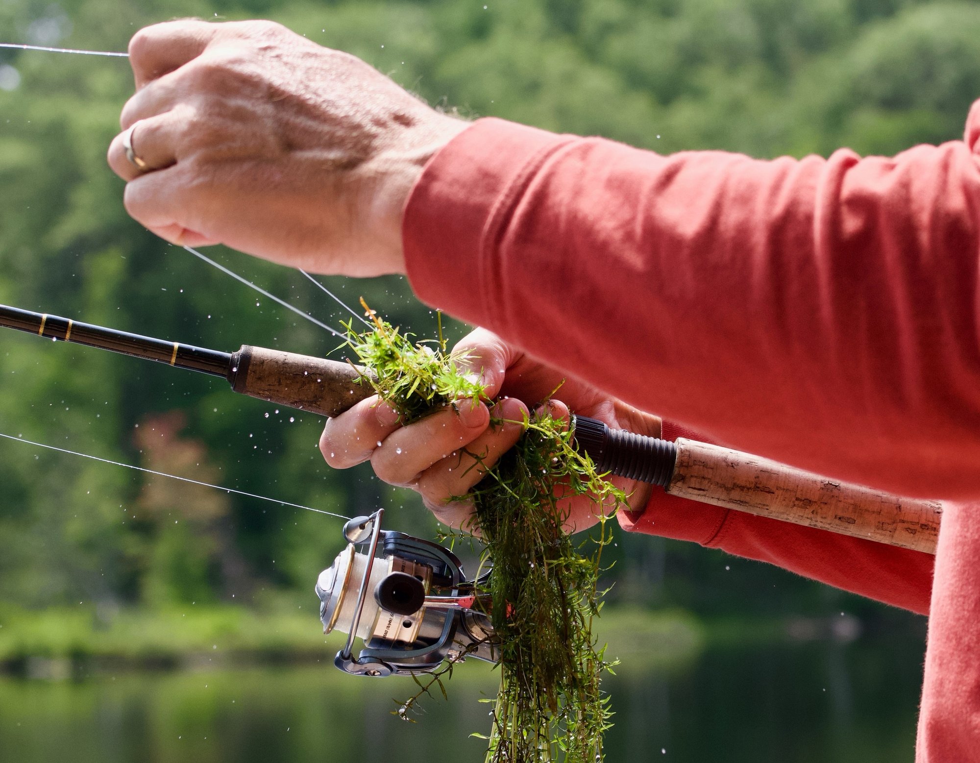 shutterstock_2331941473 copy-1