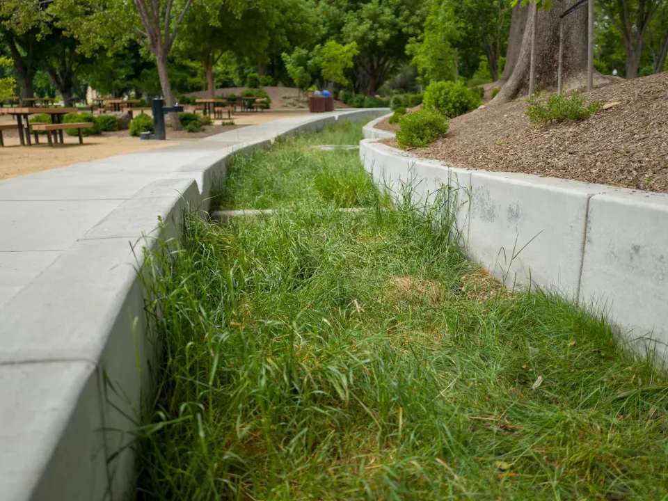Bioswales