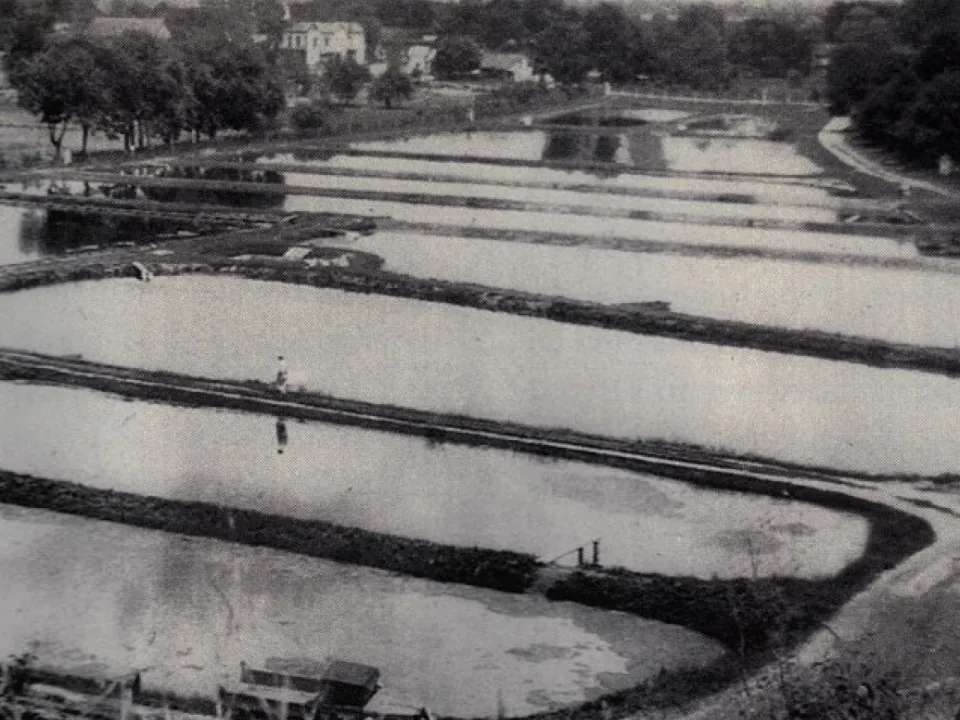Jones Lake Management Hatcheries & Distributors LLC in Cincinnati, OH - Jones Lake Management