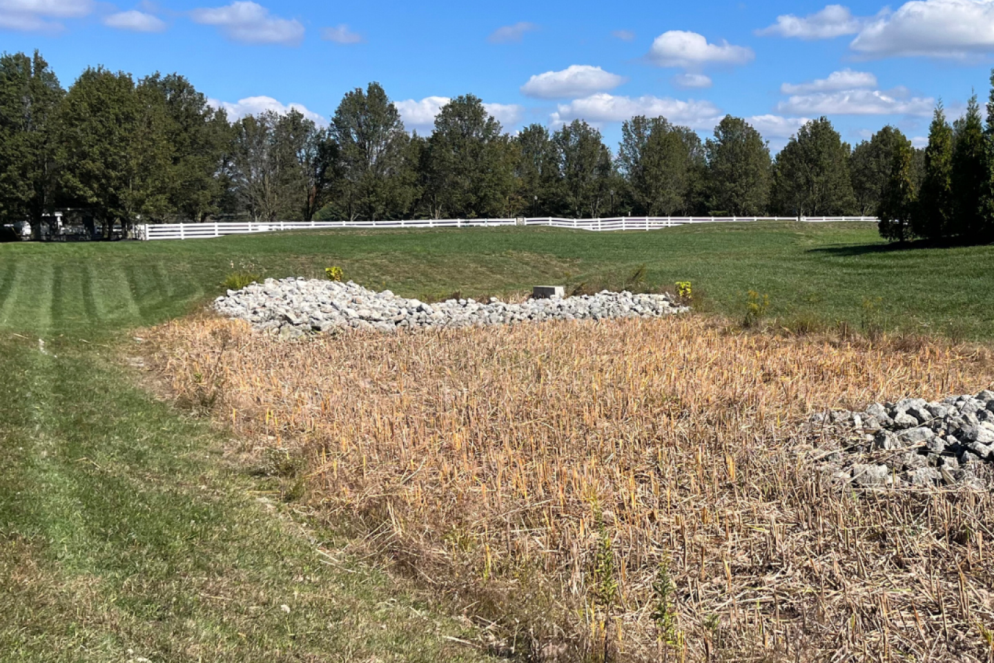 cutting and removing cattail foliage restores retention pond function 