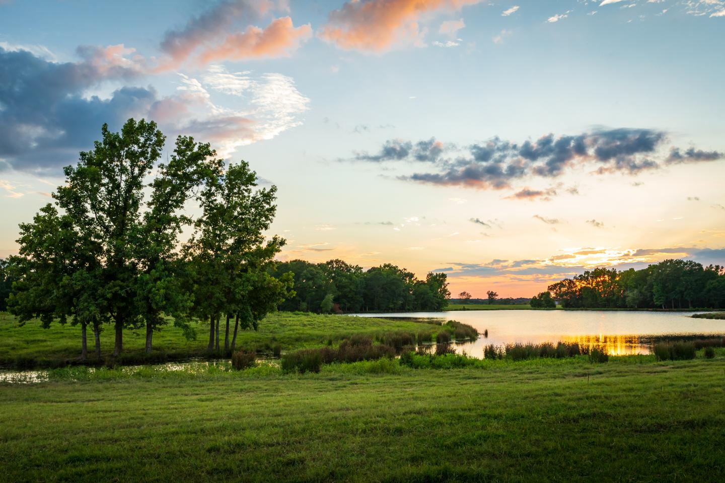 Pond in Texas with Sunset
