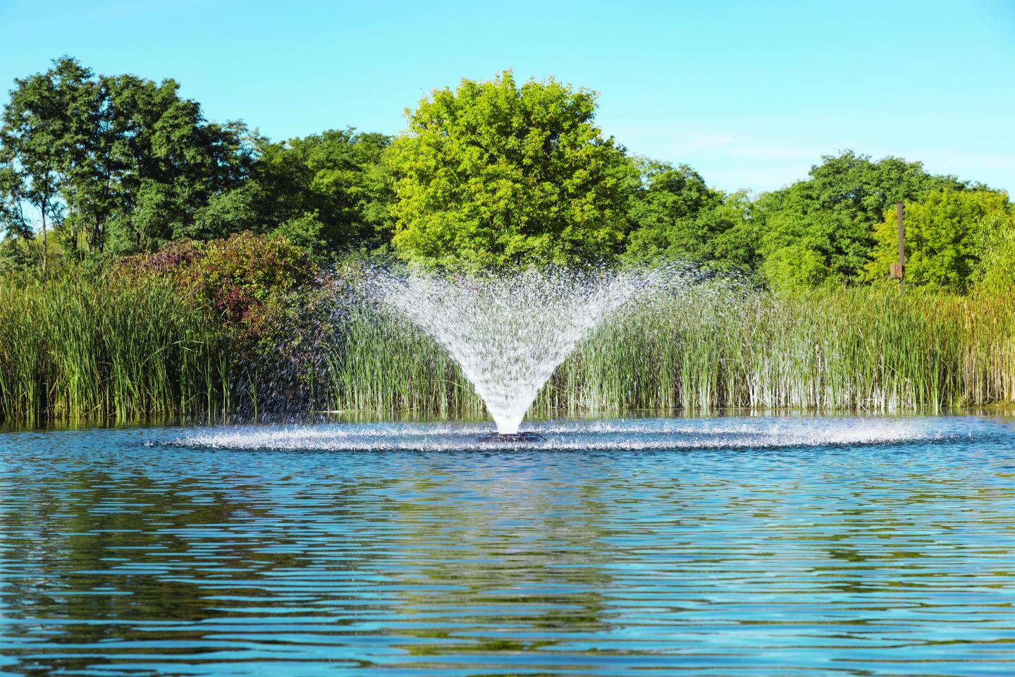 Kasco V-Shaped Aerator is an available surface aeration program unit