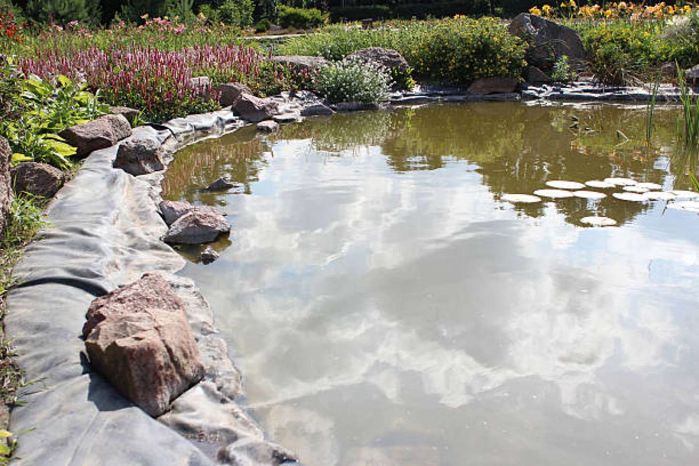 Shoreline Renovation 2 | Jones Lake Management