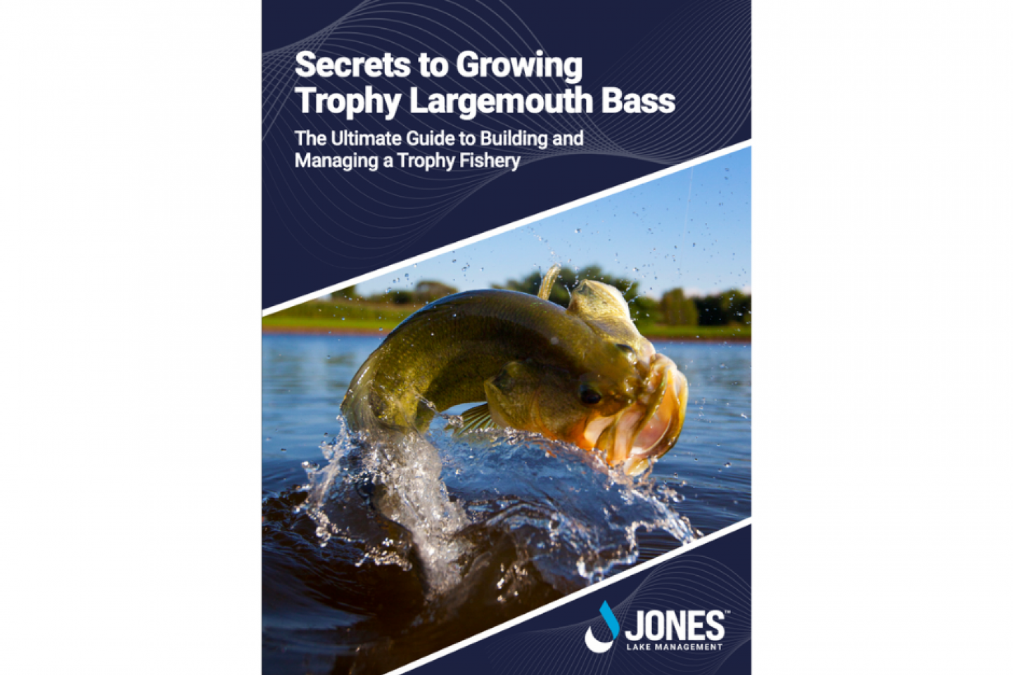 trophy largemouth bass guide | jones lake management