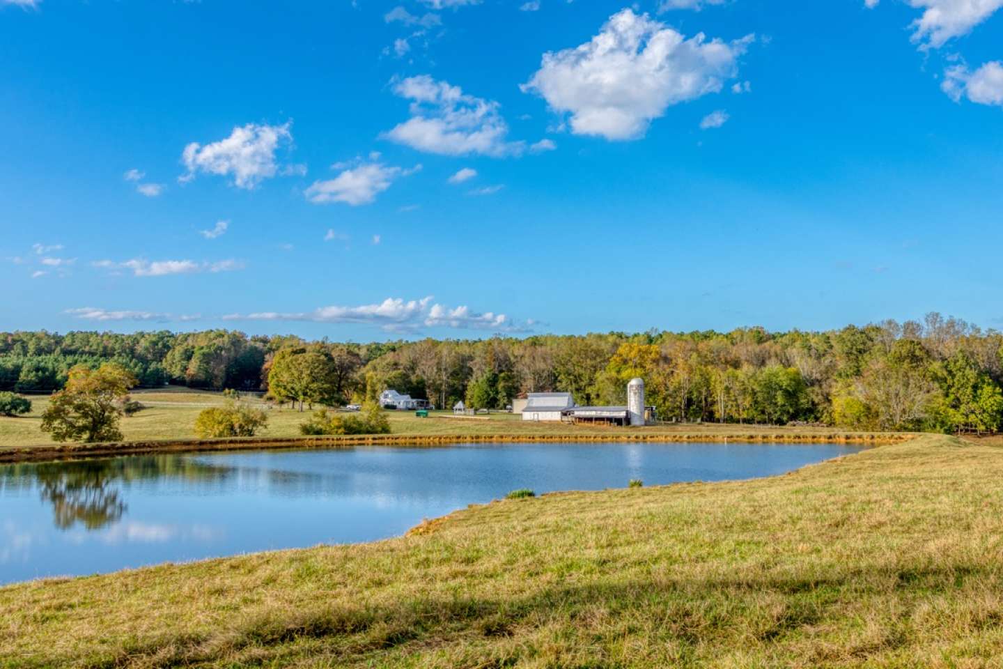 Pond lake management