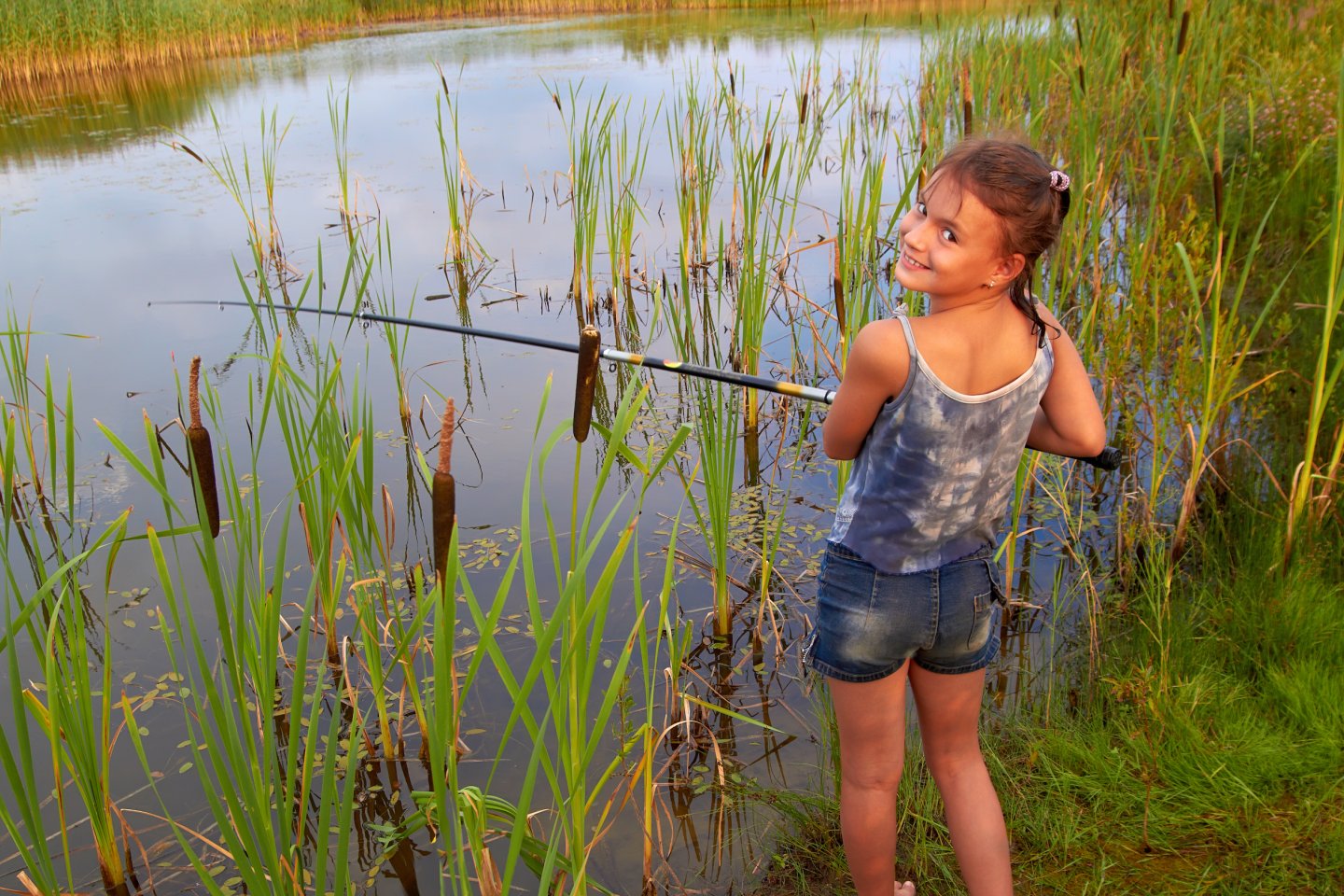 Lake and Pond Cattail Control | Jones Lake Management