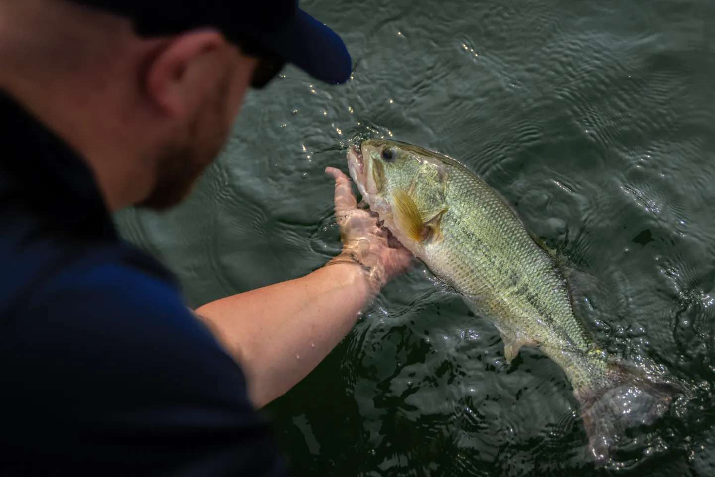 Electrofishing - Lake and Pond Fish Population Survey | Jones Lake Management