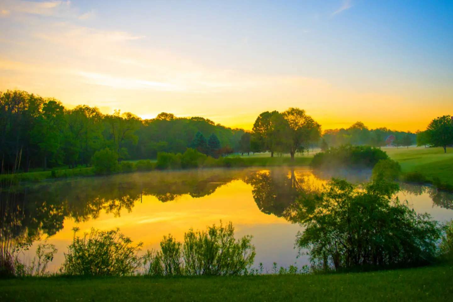 Lake & Pond Biologists