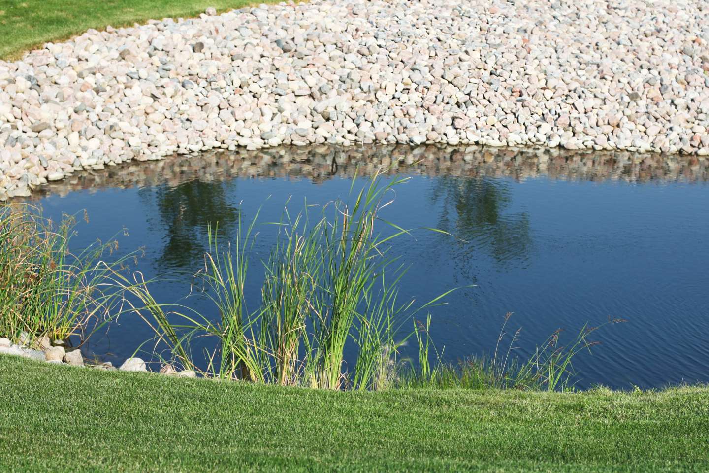 Shoreline Renovation 1 | Jones Lake Management