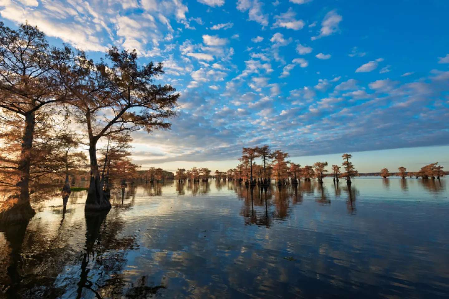 Louisiana Pond Management - A Jones Lake Management Partner
