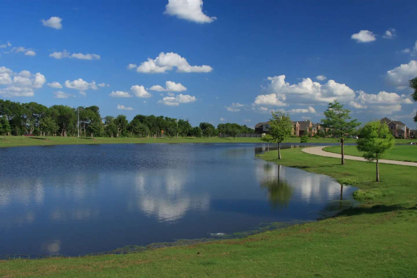pond with trees and building in background