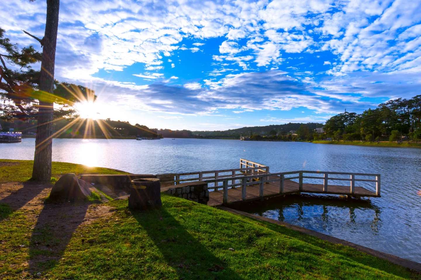 Ponds Rx - A Jones Lake Management Partner