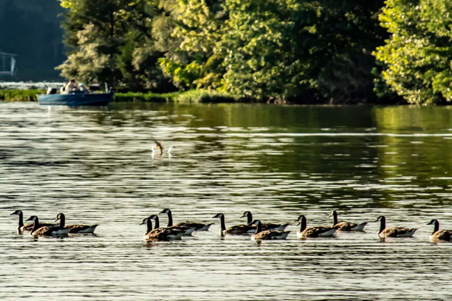 A.T.A.C. - A Jones Lake Management Partner