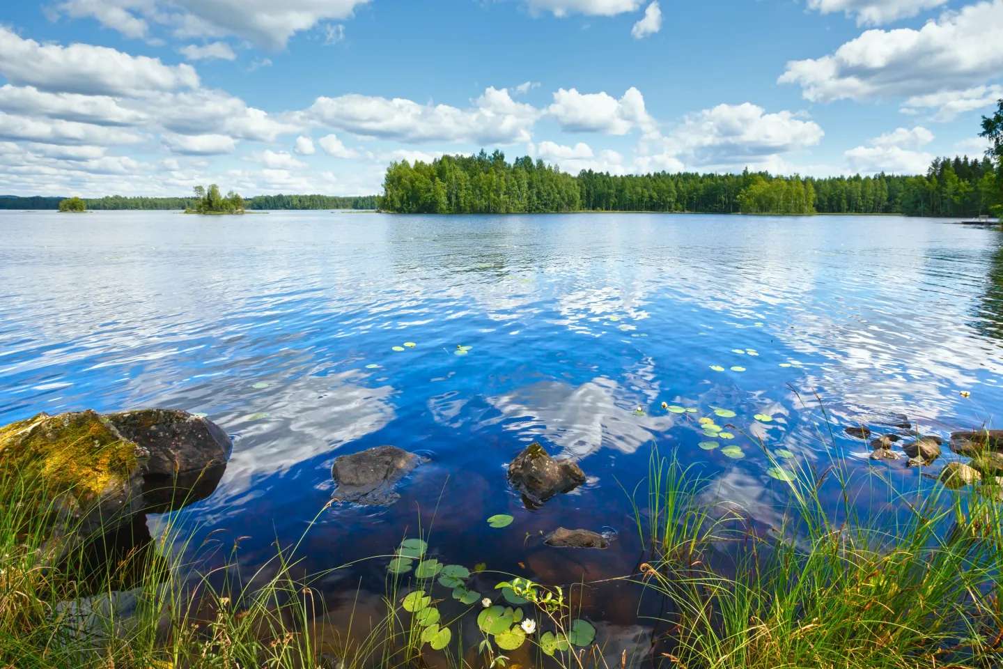 Platinum Ponds - a Jones Lake Management Partner