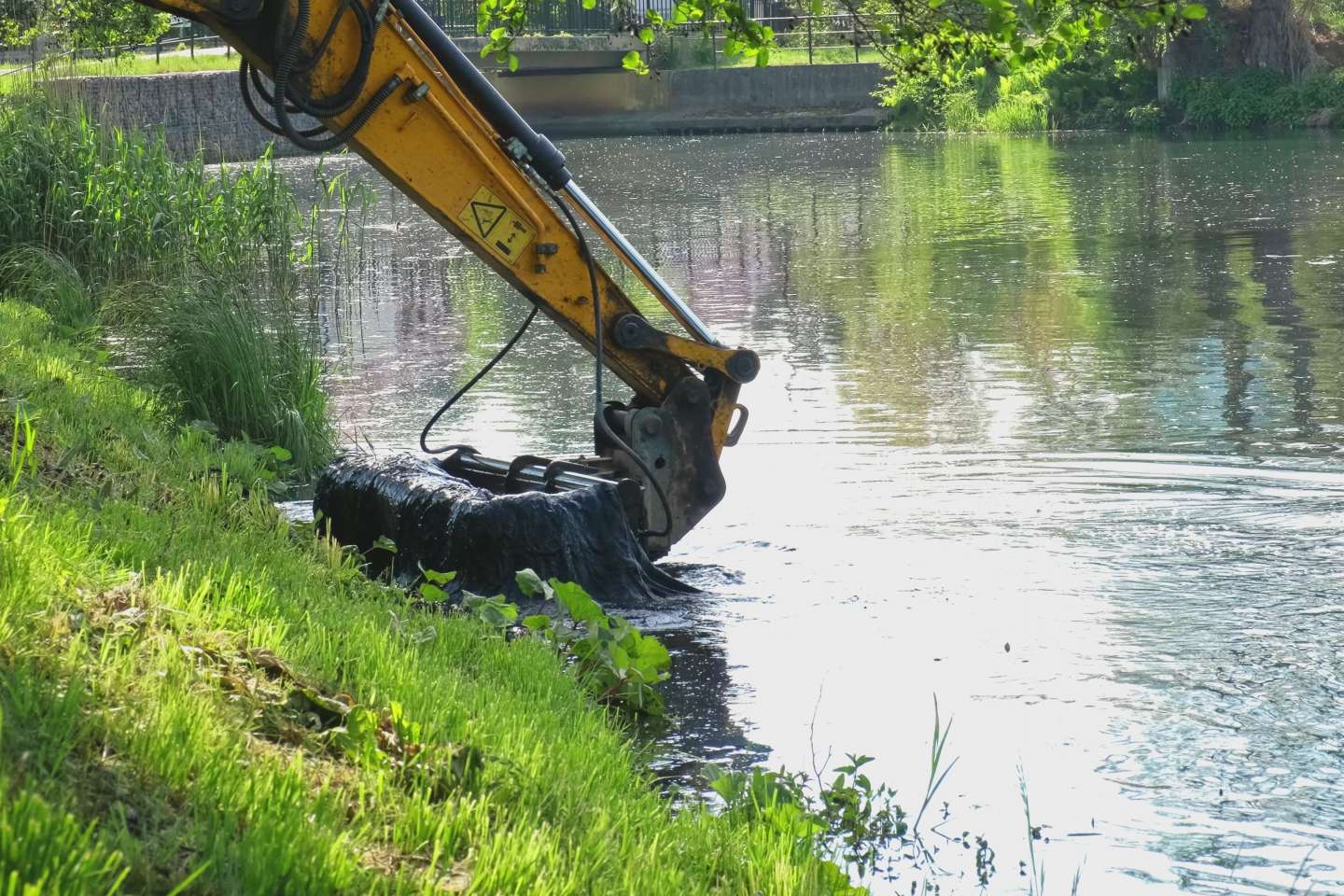 pond shoreline dredging 