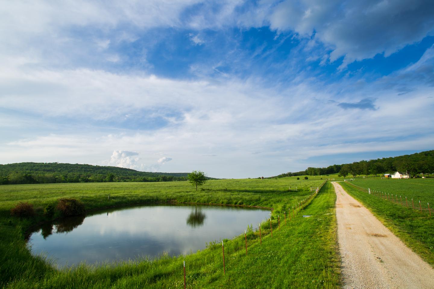 Arkansas Fishery Solutions - Aqua Services, Jones Lake Management Partner