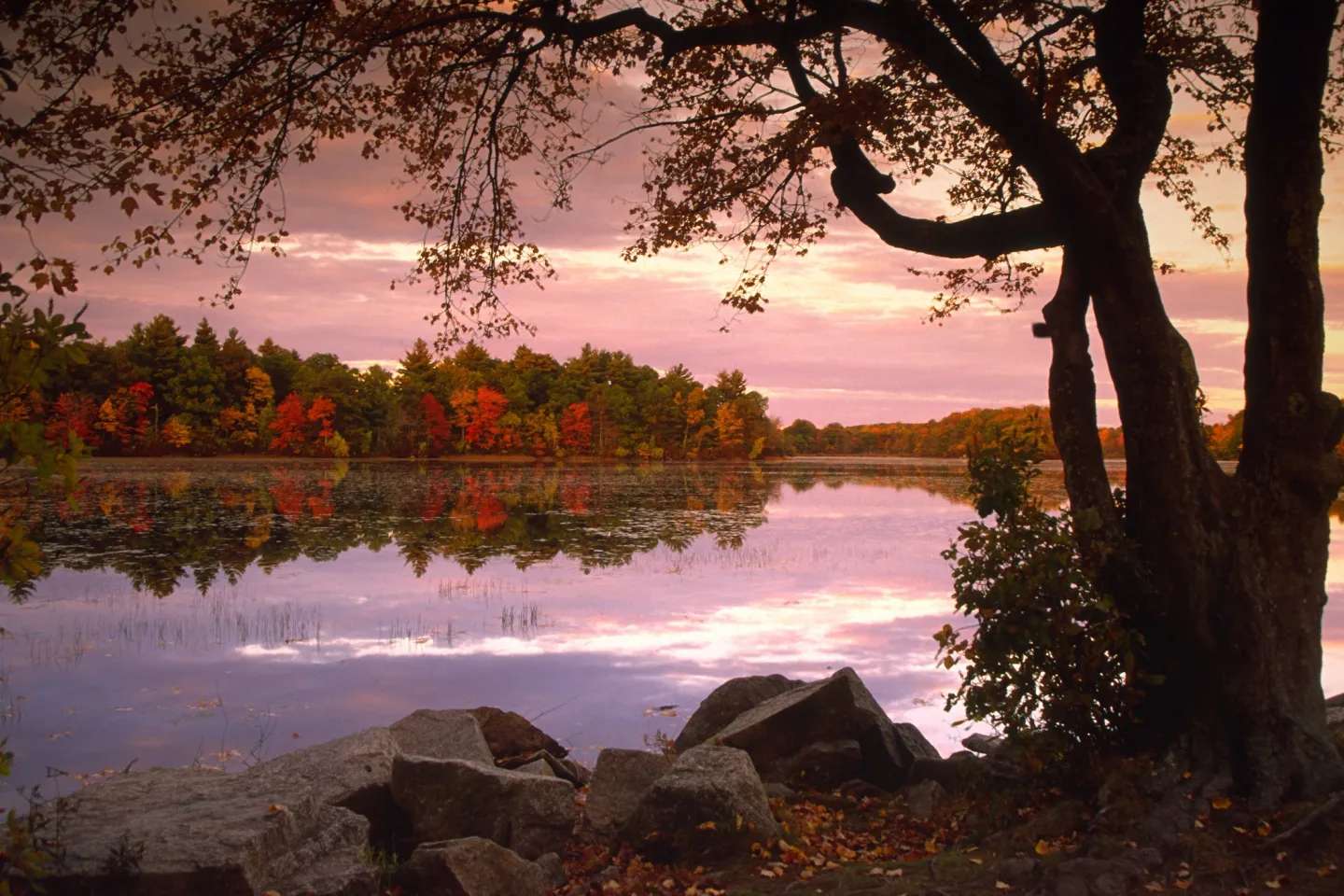 Water & Wetland - A Jones Lake Management Partner