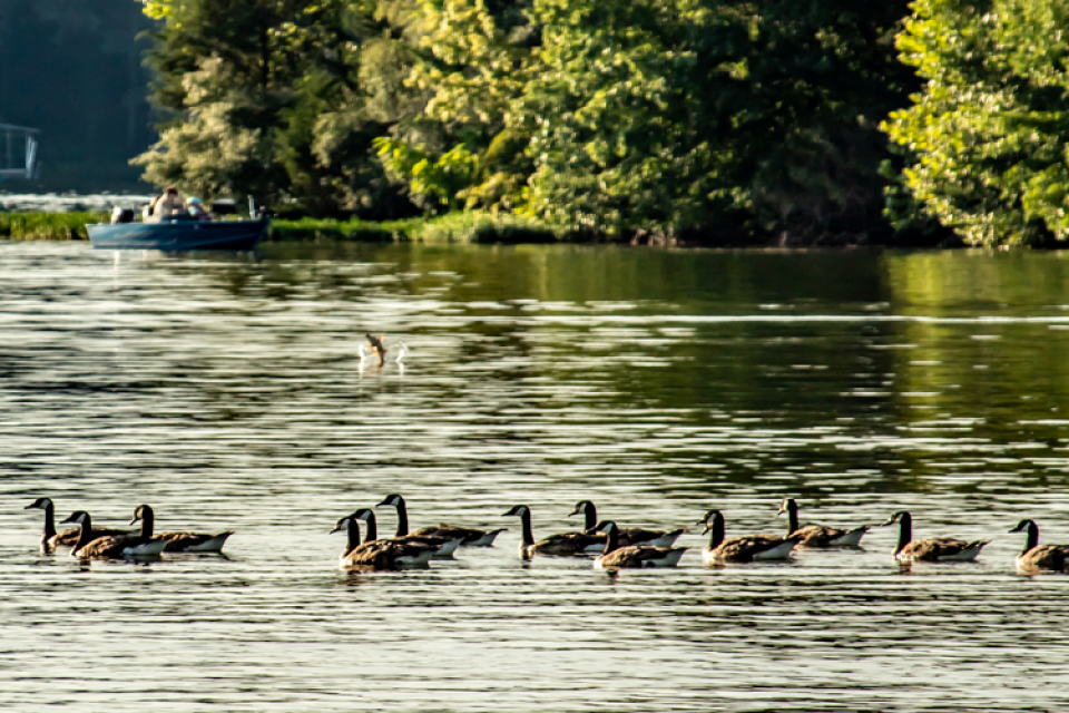 A.T.A.C. - A Jones Lake Management Partner