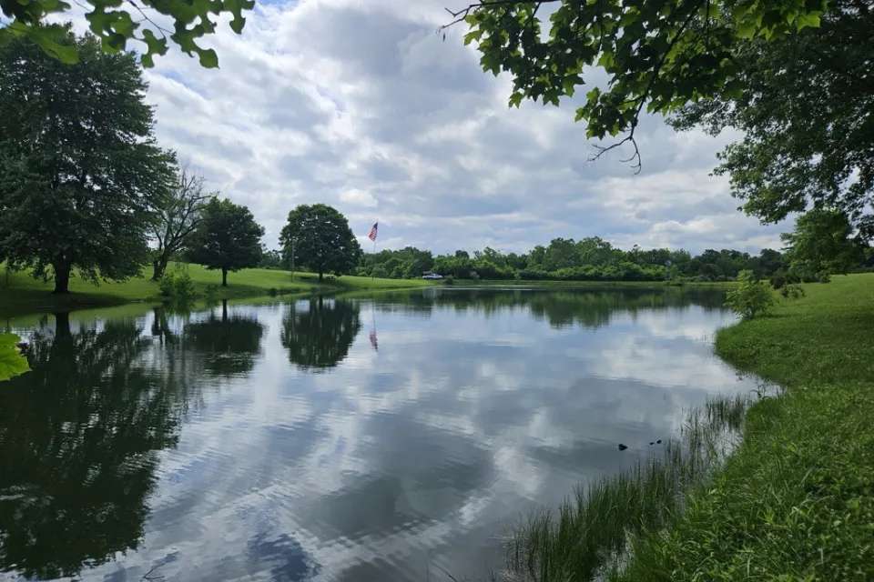 Pond Treatment