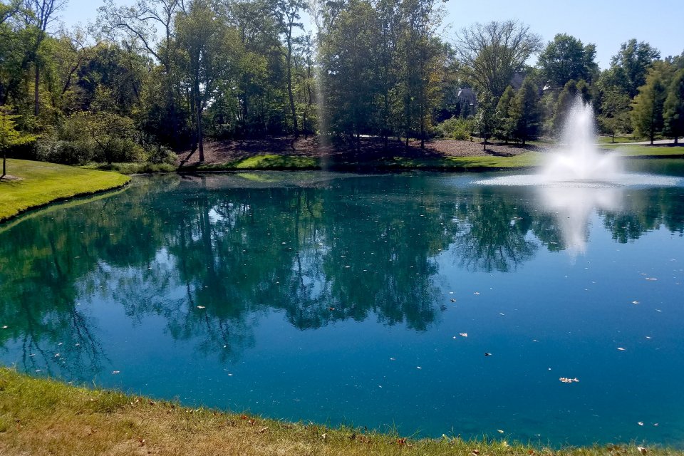 Indian Hill Pond project before and after photos | Jones Lake Management