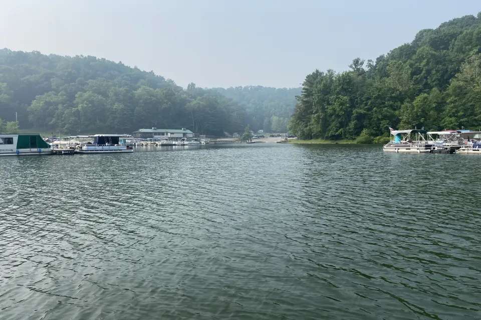 Curlylead pondweed control before and after photos | Jones Lake Management