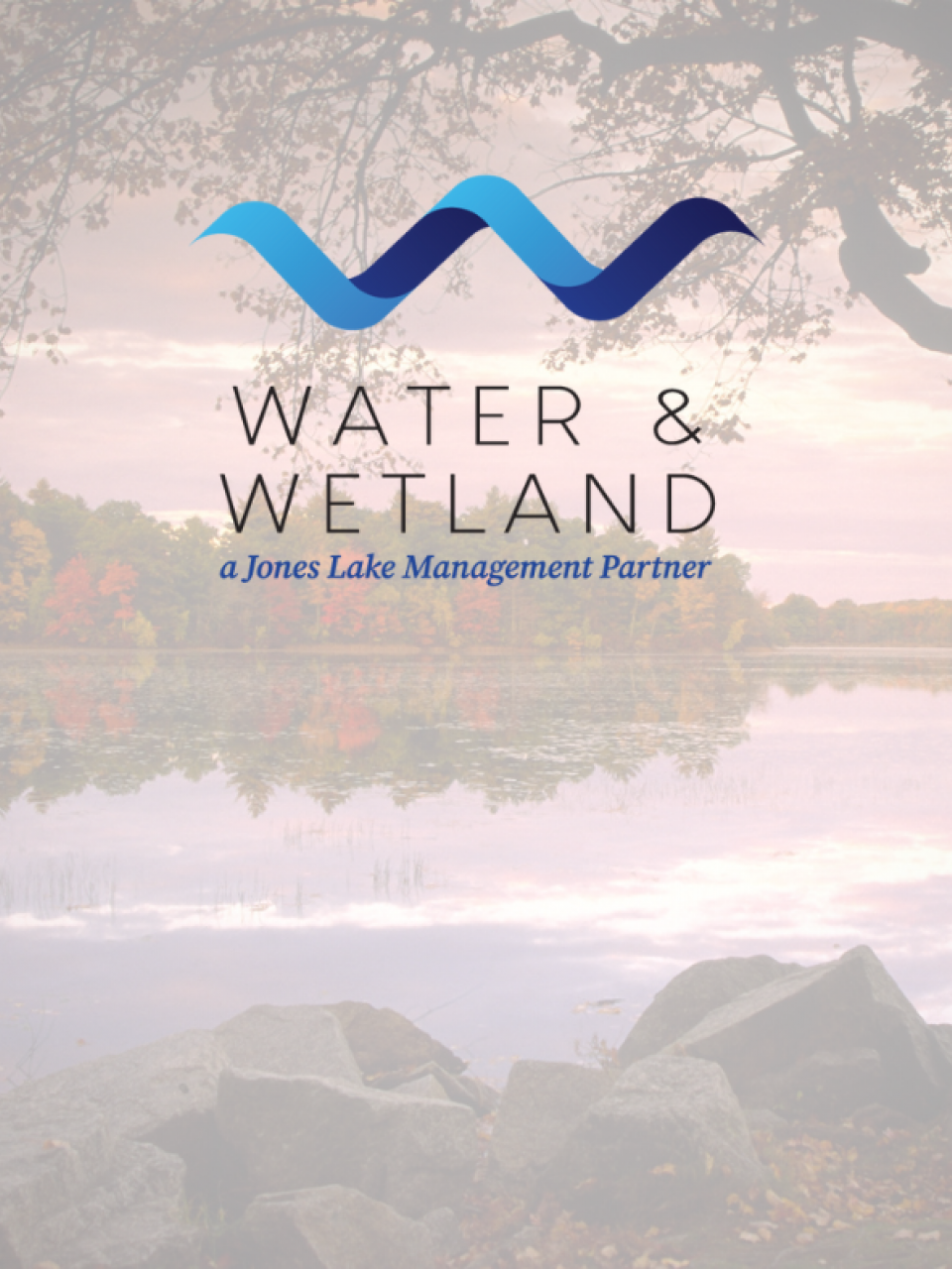 water and wetland, Massachusetts 