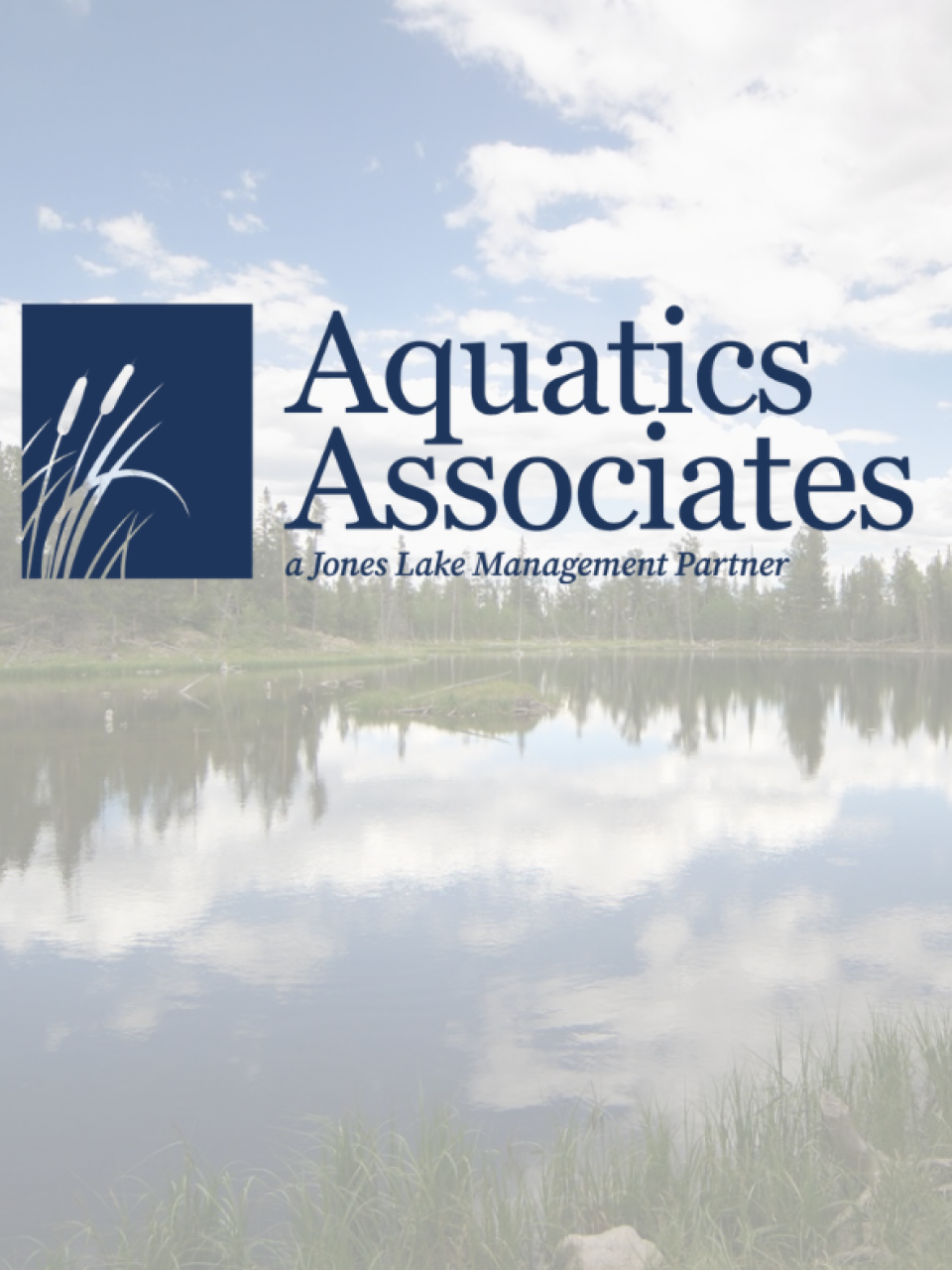 aquatics associates 
