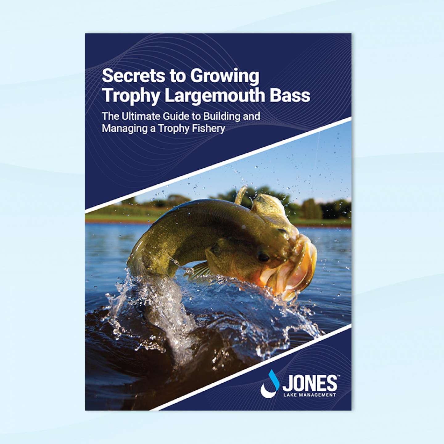 trophy largemouth bass guide | jones lake management
