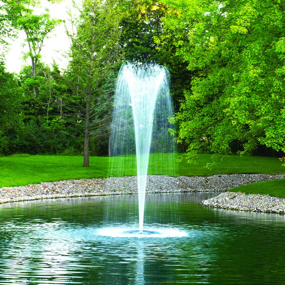 Jones Fish Hatchery and Distribitor