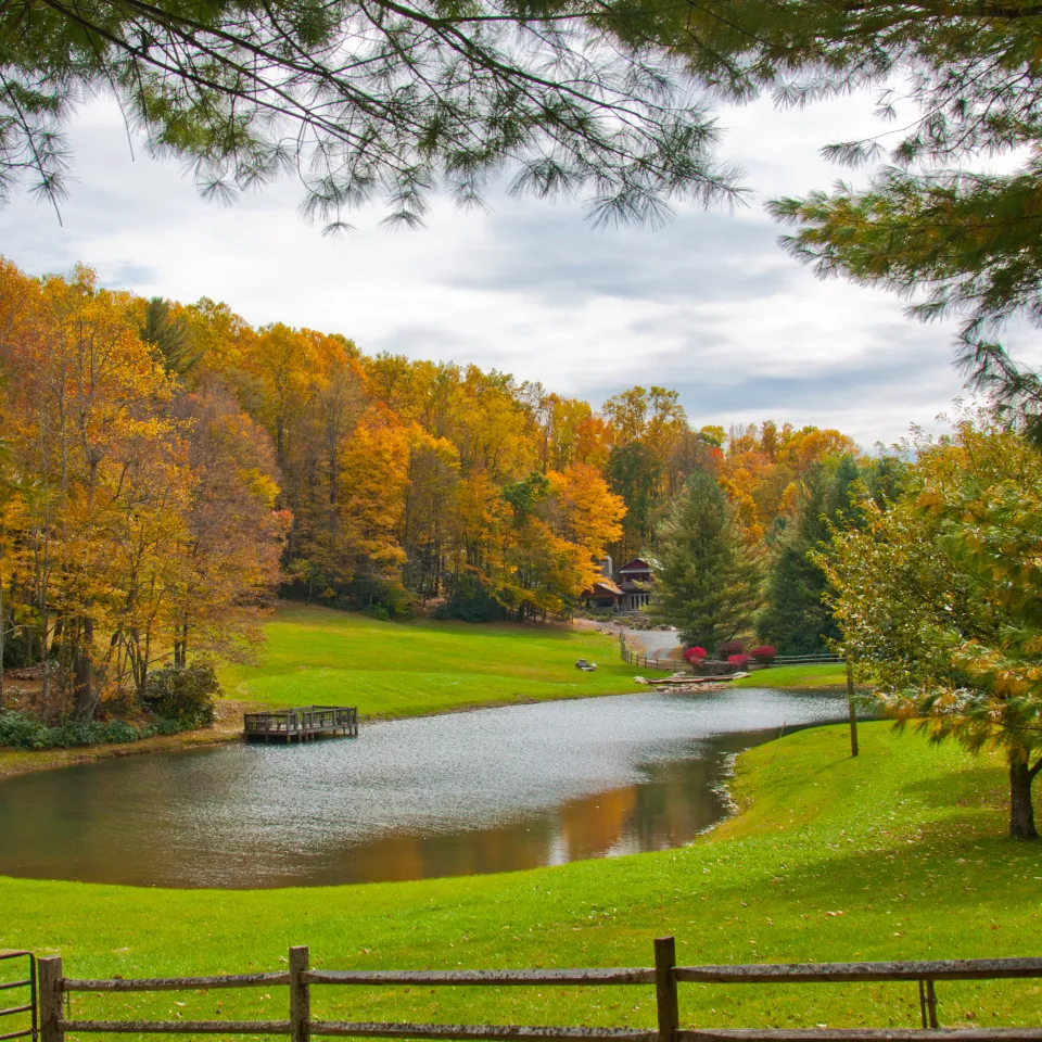 Jones Fish Hatchery and Distribitor