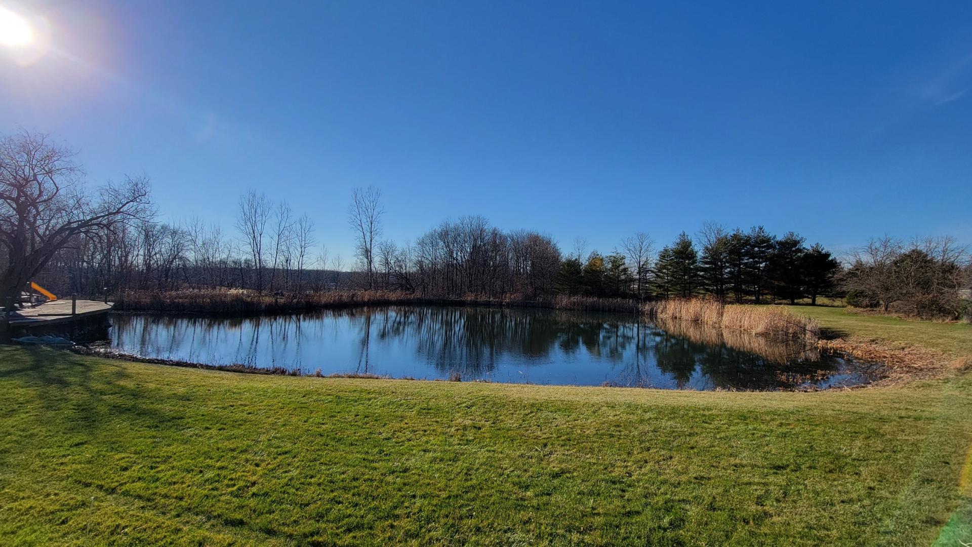 After selective cattail removal 
