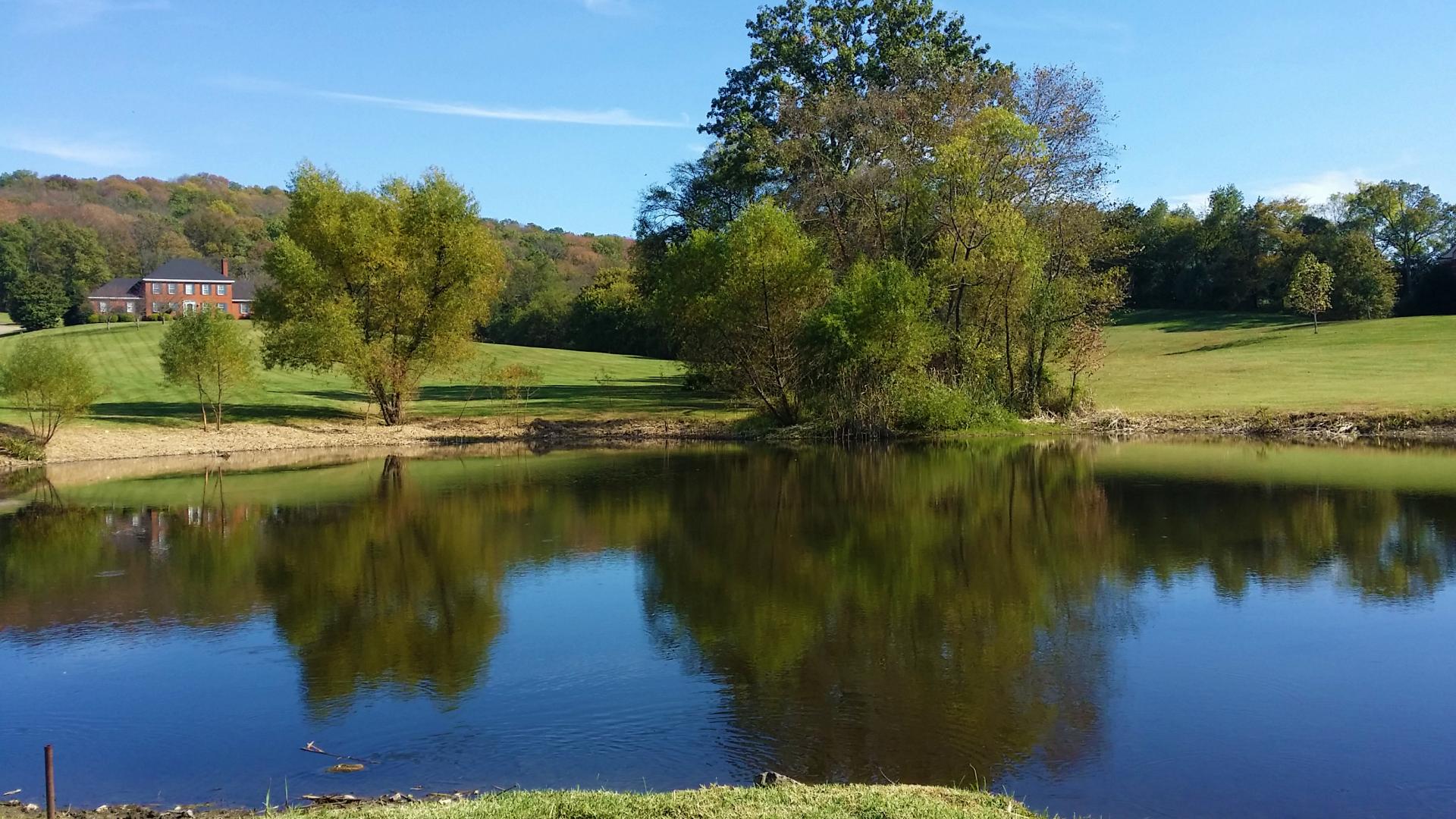 after our lake management plan was implemented, the water surface is algae free