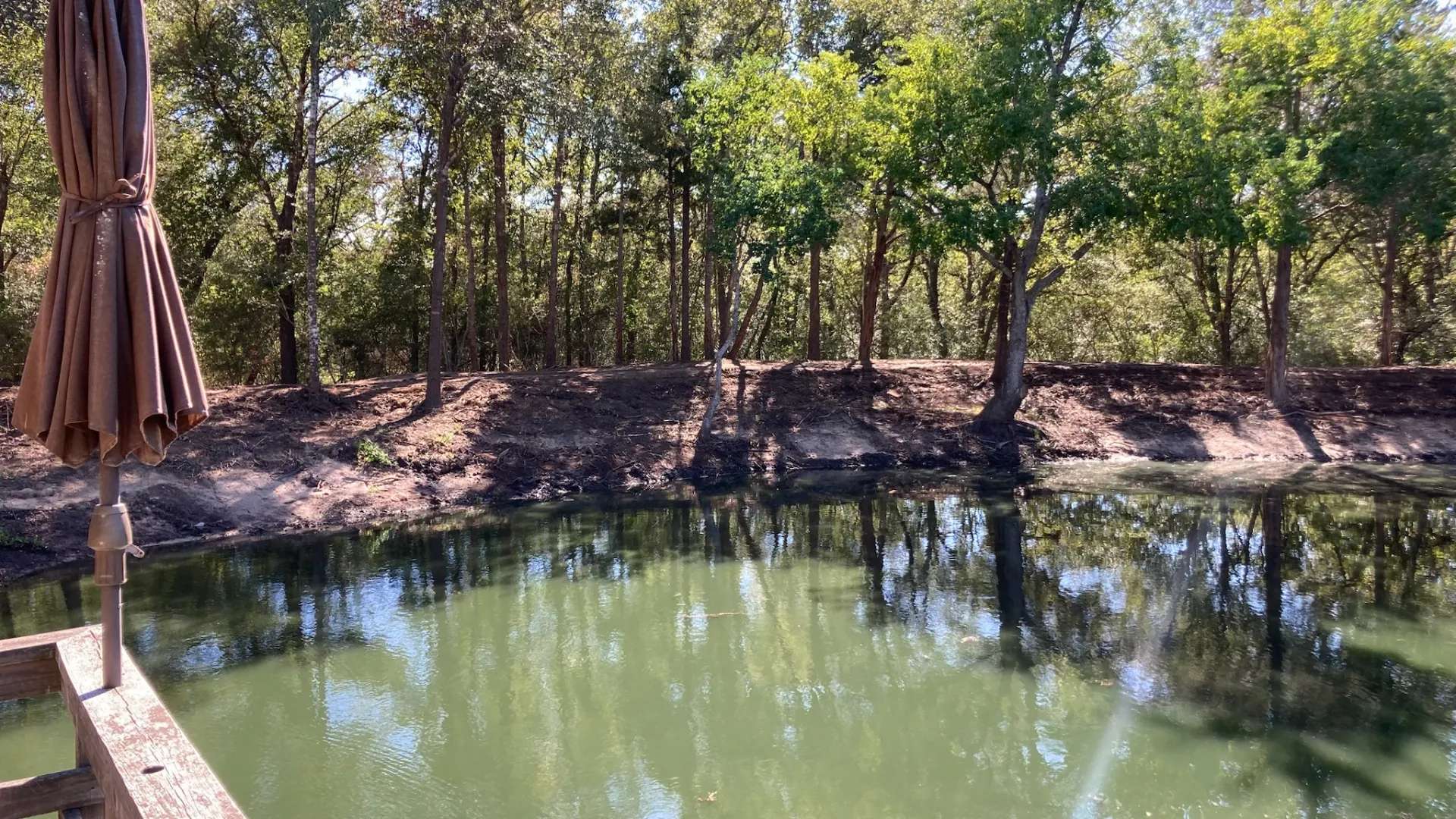 after water lilies were mechanically removed the water was clear and open
