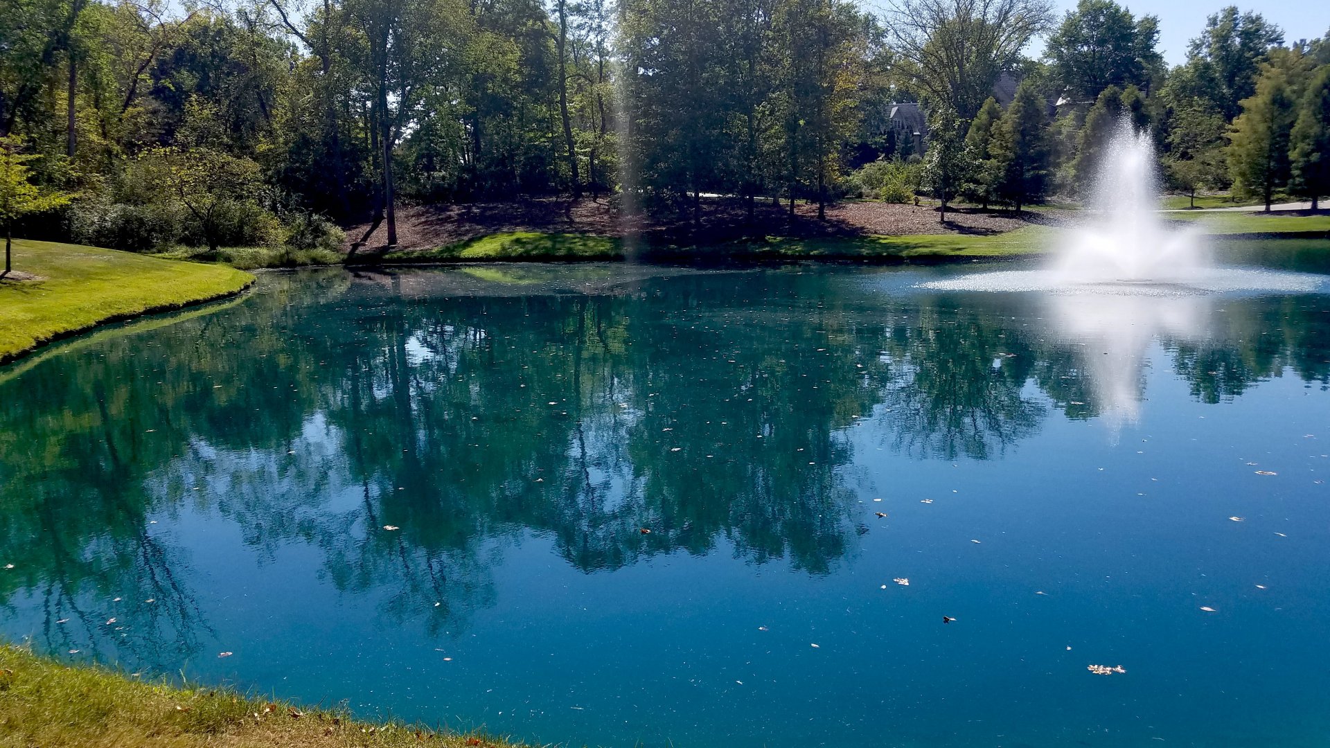 After microbe regimen photo | Jones Lake Management