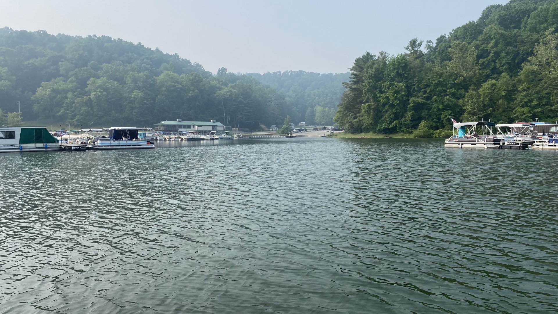 After curlyleaf pondweed control | Jones Lake Management