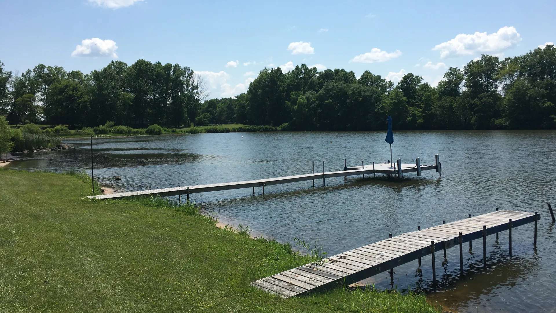After ProcellaCOR treatment photo | Jones Lake Management